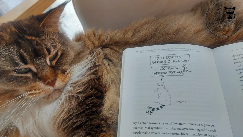 "Kot w domu. Instrukcja obsługi" - Barbara Sieradzan - kot kawa i ksiazki