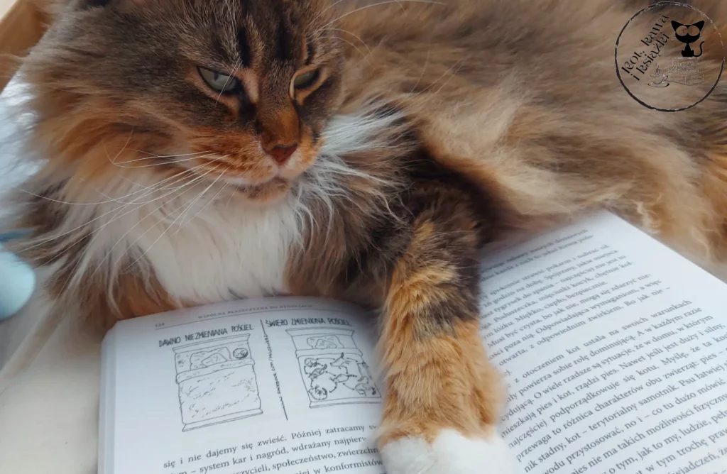"Kot w domu. Instrukcja obsługi" - Barbara Sieradzan - kot kawa i ksiazki