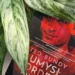 “Ted Bundy. Umysł mordercy” - Max Czornyj - Kot, kawa i książki