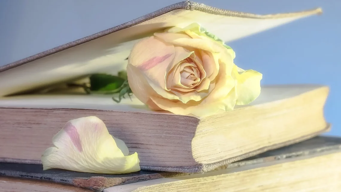 Światowy Dzień Książki i Praw Autorskich 2025 Image by Myriams-Fotos from Pixabay