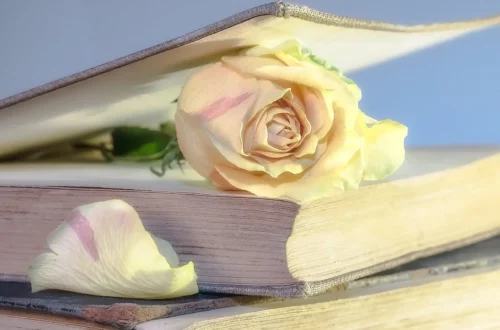 Światowy Dzień Książki i Praw Autorskich 2025 Image by Myriams-Fotos from Pixabay