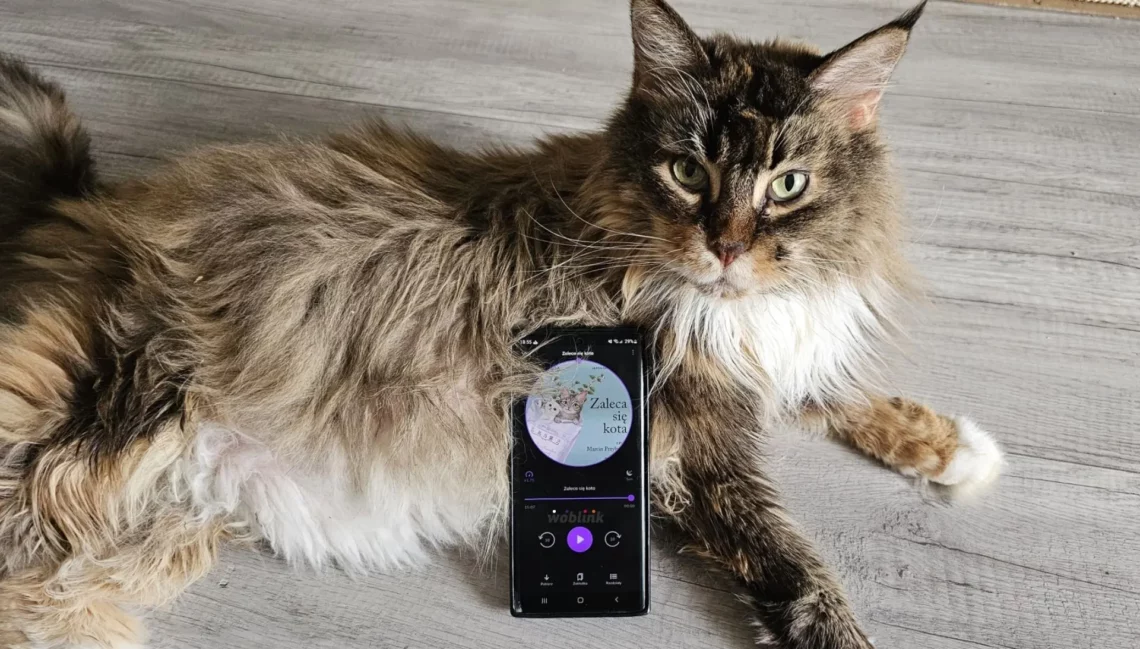 “Zaleca się kota” - Shou Ishida - kot, kawa i książki