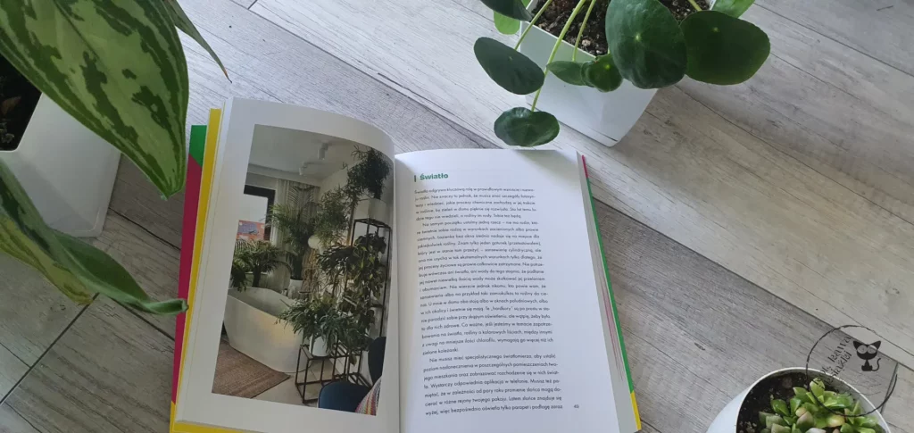 „Roślinne historie” - Dawid Oleszko - Kot, kawa i książki