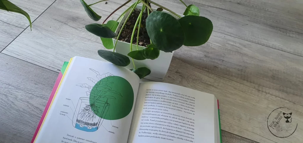 „Roślinne historie” - Dawid Oleszko - Kot, kawa i książki