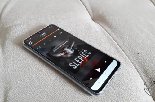 “Ślepiec” - Max Czornyj - Kot, kawa i książki