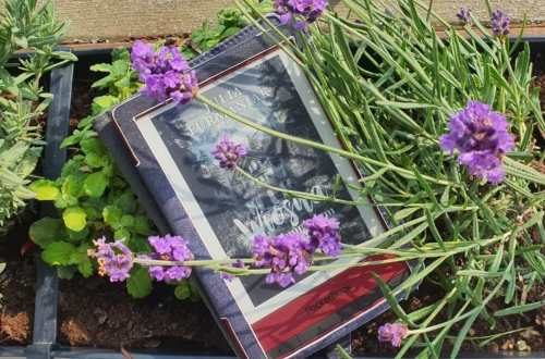 “Wiosna w Zapomnianym Schronisku” - Julia Furmaniak - Kot, kawa i książki