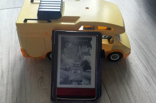 "Sto mil ciszy" - Aleksandra Rak - Kot, kawa i książki