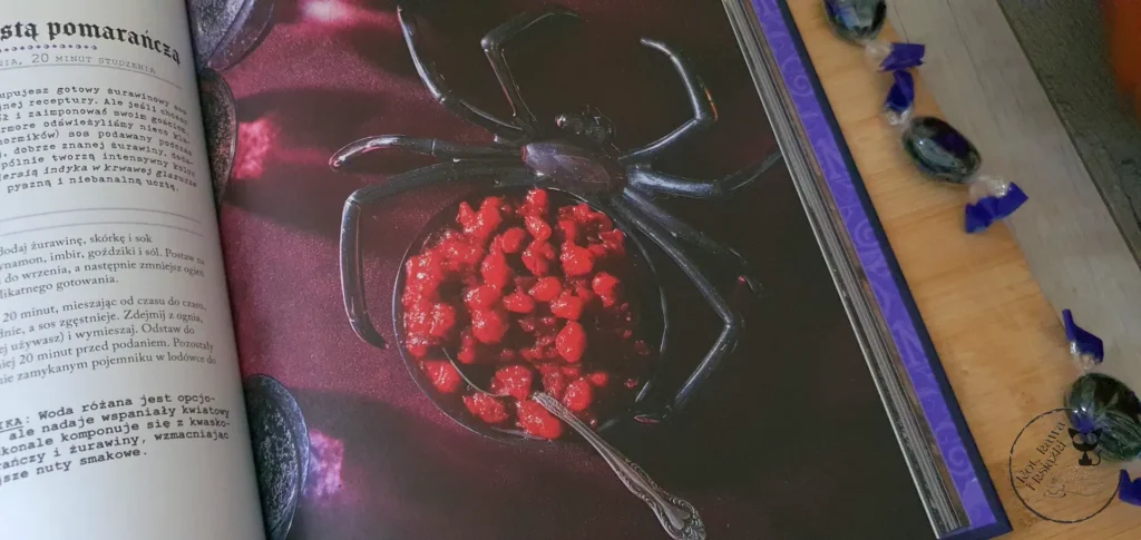 „Wednesday. Oficjalna książka kucharska” - Mari Mancusi - Kot kawa i książki