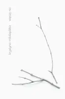 „Więcej nic” – Krystyna Miłobędzka - okładka