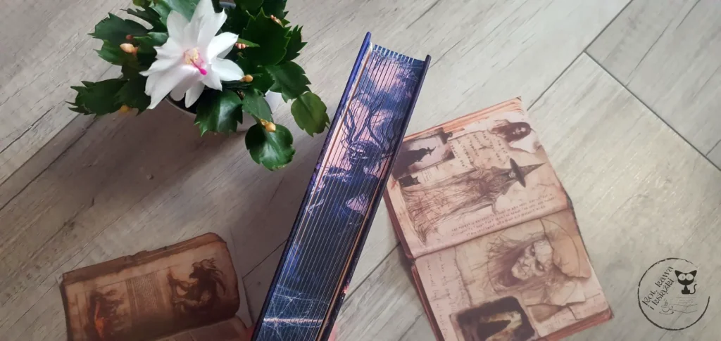 "Diabelstwò" -  Maciej Lewandowski - Kot, kawa i książki