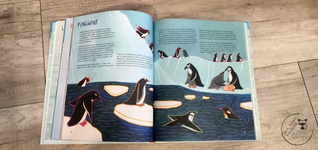 "Antarktyda. Wyprawa na kraniec świata" - Dominik Szczepański, Mateusz Waligóra, Joanna Czaplewska - Kot, kawa i książki