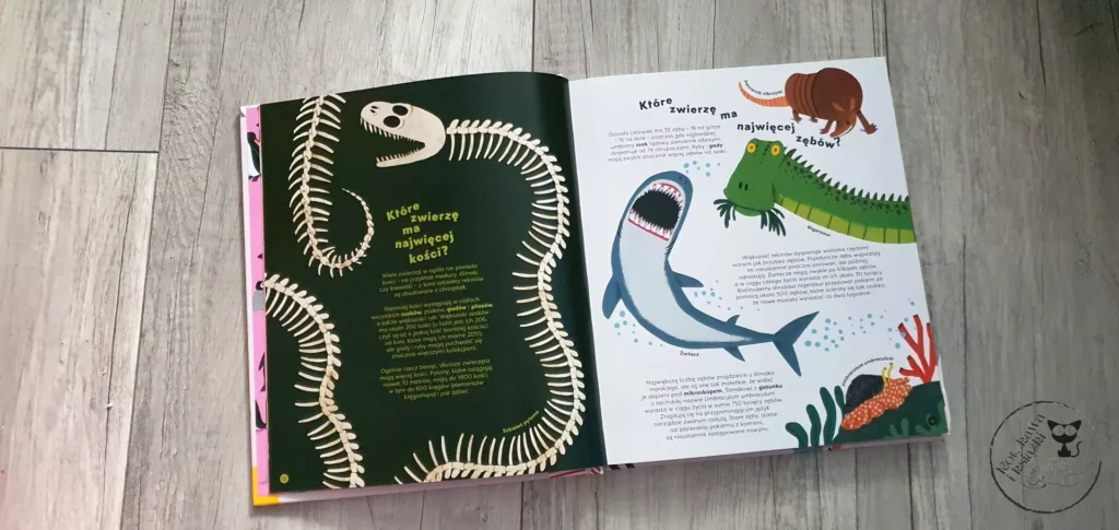 „Czy zwierzęta dłubią w nosie? Księga (niegłupich) pytań” - Mike Rampton, Guilherme Karsten - Kot, kawa i książki