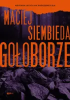 „Gołoborze” – Maciej Siembieda - okładka