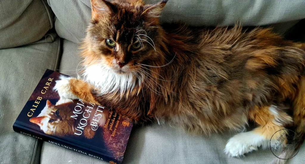 "Moja ukochana bestia. Masza, ocalona półdzika kotka, która mnie uratowała" - Caleb Carr - Kot, kawa i książki