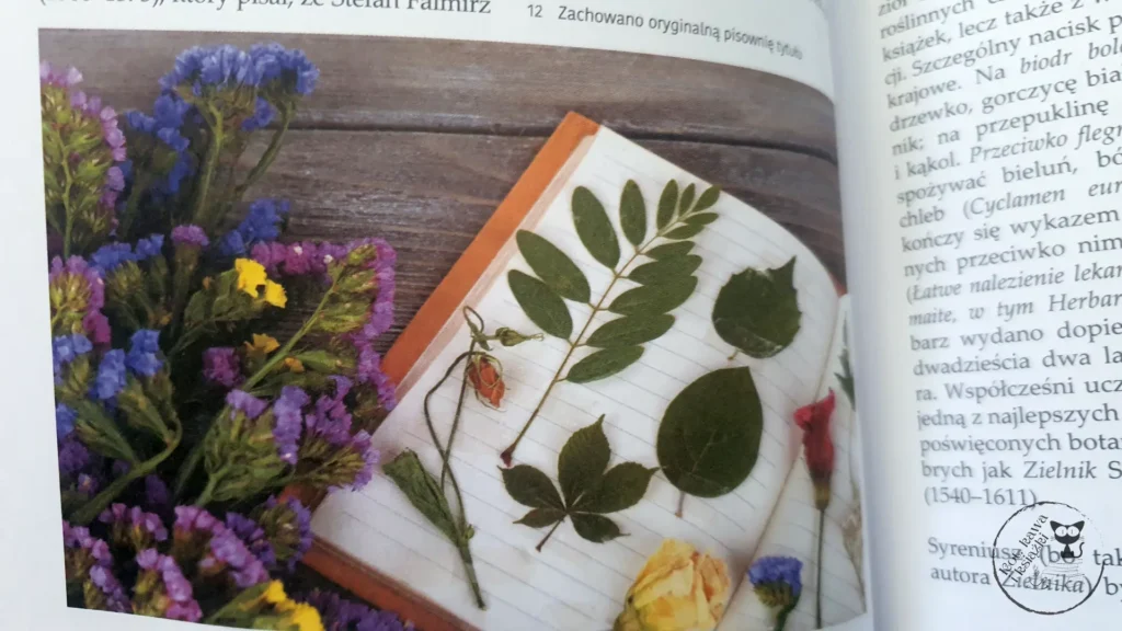 "Polskie zioła lecznicze i uzdrawiające" - Grażyna Wasilewska - Kot, kawa i książki