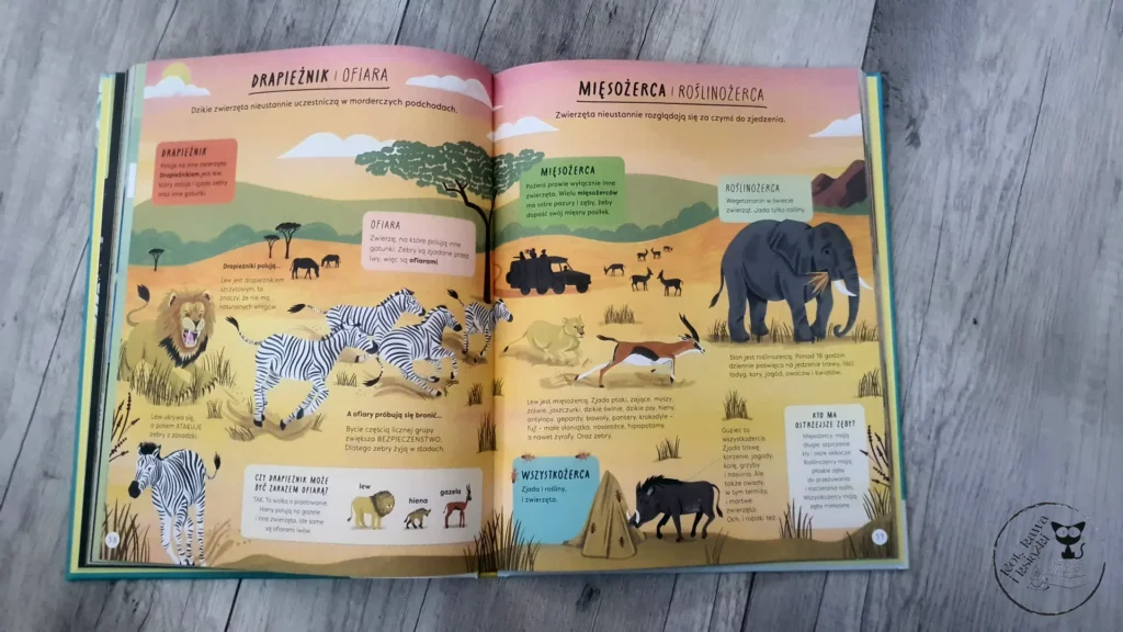 "Encyklopedia rzeczy, które się mylą. Świat a wszechświat, tornado a huragan, mikroskop a teleskop oraz wiele innych par" – Jane Wilsher - Kot, kawa i książki