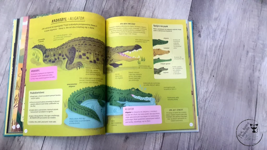 "Encyklopedia rzeczy, które się mylą. Świat a wszechświat, tornado a huragan, mikroskop a teleskop oraz wiele innych par" – Jane Wilsher - Kot, kawa i książki