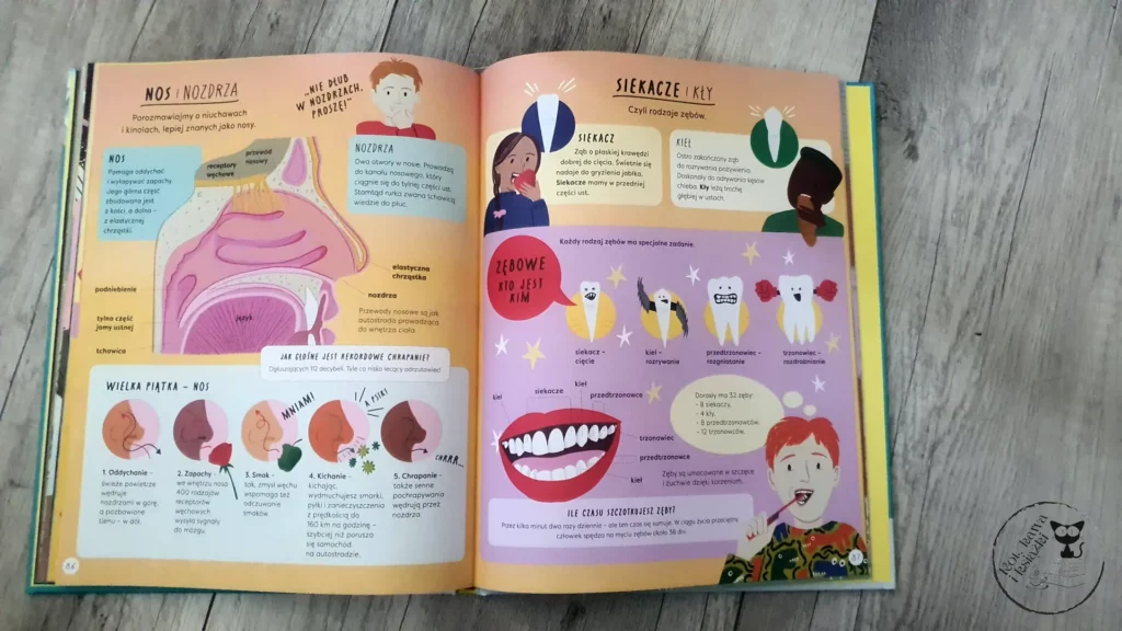 "Encyklopedia rzeczy, które się mylą. Świat a wszechświat, tornado a huragan, mikroskop a teleskop oraz wiele innych par" – Jane Wilsher - Kot, kawa i książki