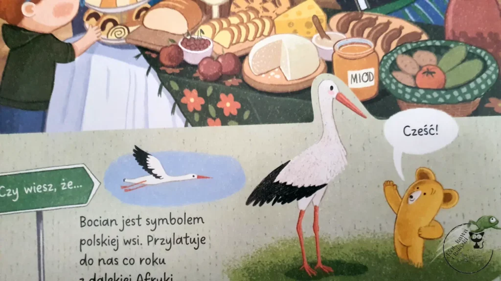 "Feluś i Gucio odkrywają... Polska" - Katarzyna Kozłowska - Kot, kawa i książki