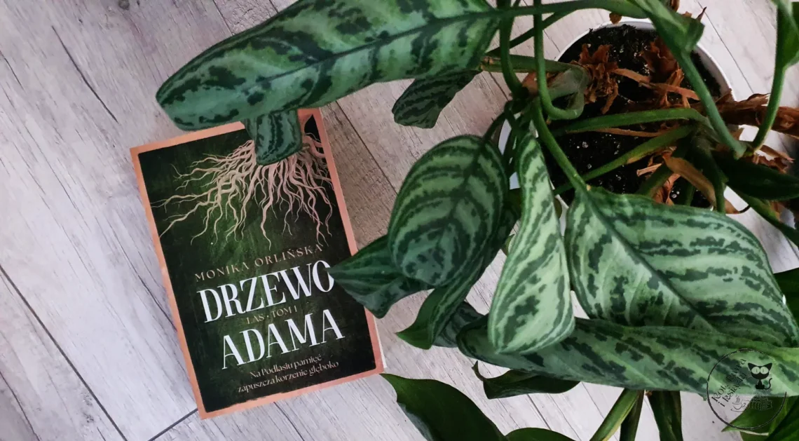 "Drzewo Adama" - Monika Orlińska - Kot, kawa i książki