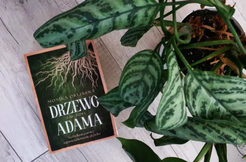 "Drzewo Adama" - Monika Orlińska - Kot, kawa i książki