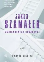 "Gdziekolwiek spojrzysz" - Jakub Szamałek - okładka