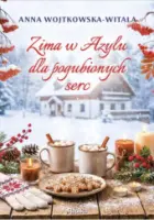 "Zima w Azylu dla pogubionych serc" - Wojtkowska - Witala Anna - okładka