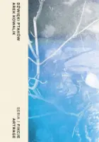 "Dźwięki ptaków" - Arek Kowalik - okładka