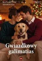 "Gwiazdkowy galimatias" - Katarzyna Sosnecka - okładka